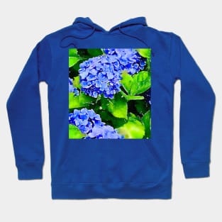 “Cape Cod Blue” Summer hydrangea Hoodie